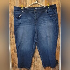 Terra & Sky Women's Blue Capris